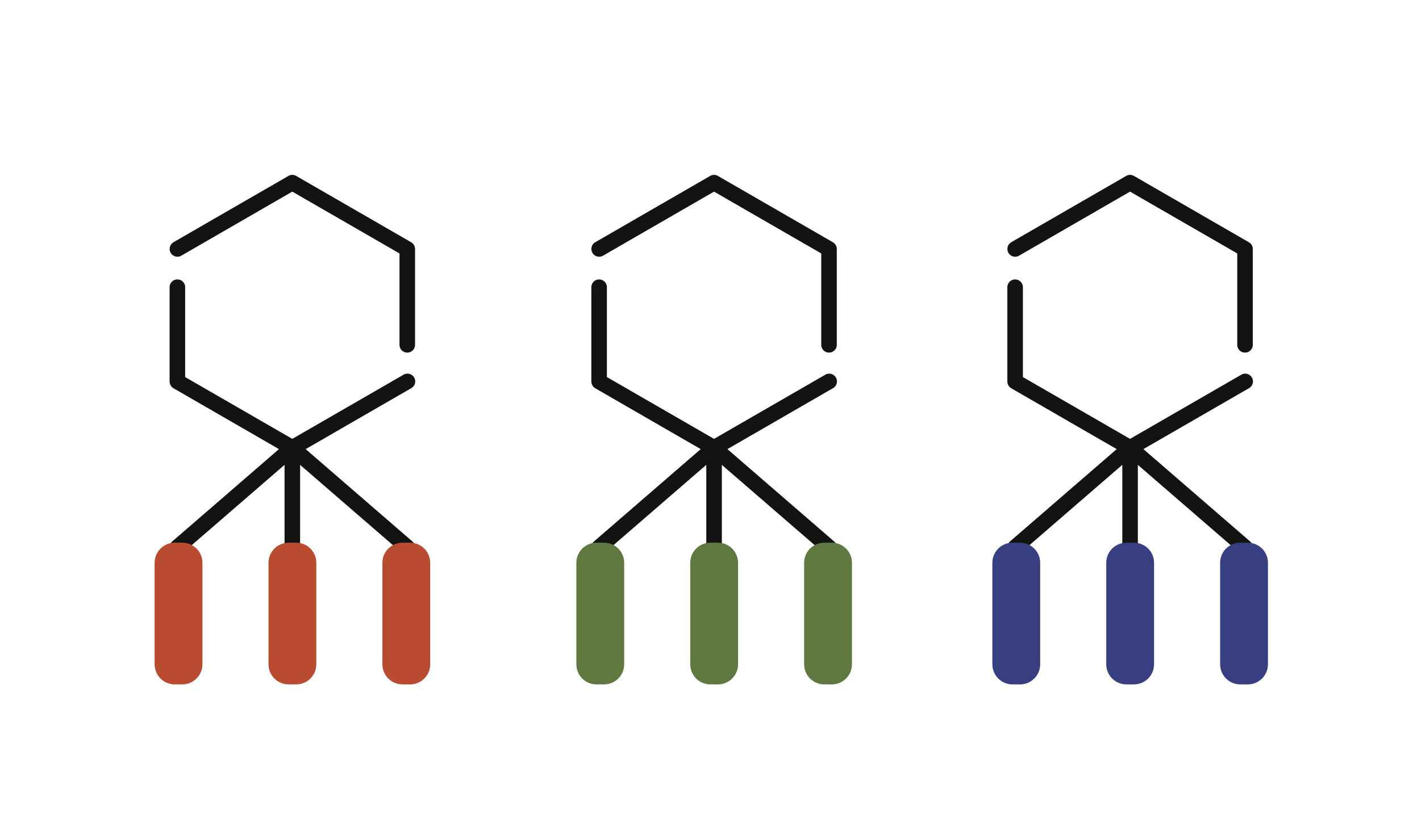 Three phage schematics with differently coloured RBPs specific to different host types